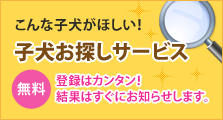 子犬お探しサービス～登録はカンタン！無料！結果はすぐお知らせします。