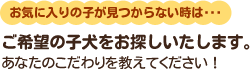 お気に入りの子が見つからない時は、ご希望の子犬をお探しいたします。あなたのこだわりを教えてください。